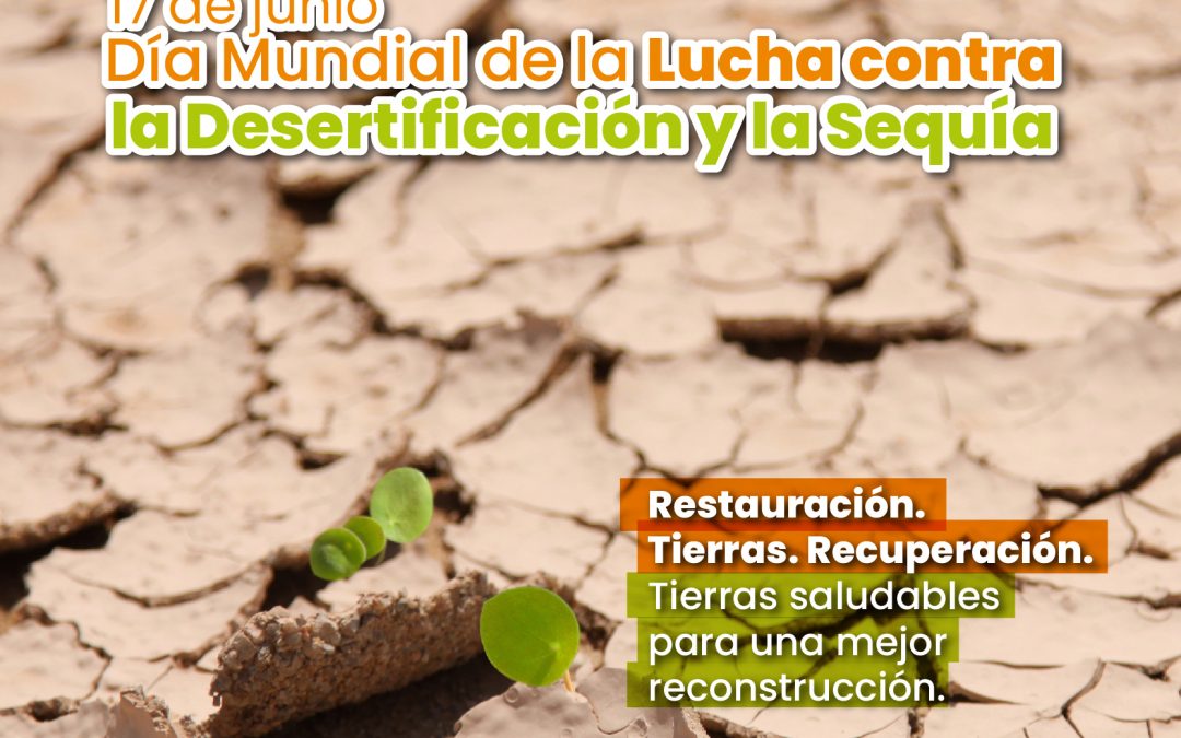 17 de junio, Día Mundial de la Lucha contra la Desertificación y la Sequía.